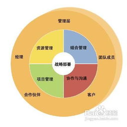 项目管理的分类与活动策划实践